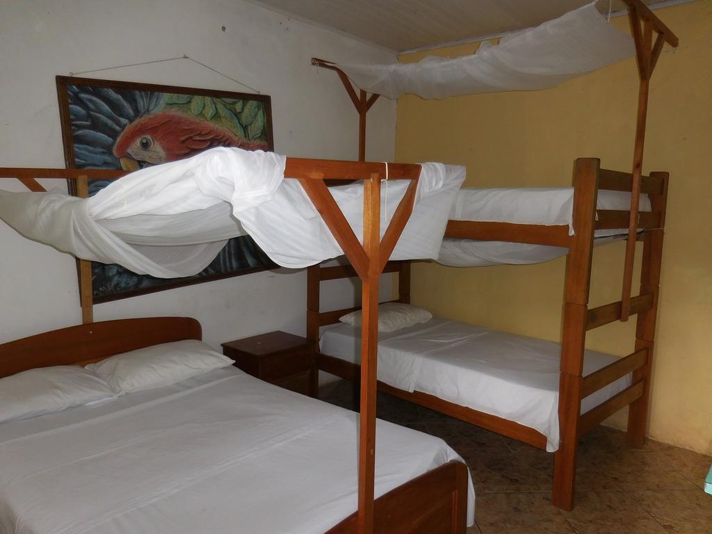 Tambopata Hostel Puerto Maldonado Exteriér fotografie