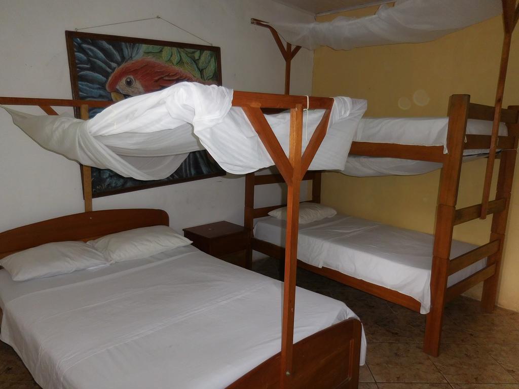 Tambopata Hostel Puerto Maldonado Exteriér fotografie